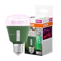 LED žárovka LED Do Roślin 10W E27 330lm Wspomagająca Wzrost Doświetlająca Osram OSREEL0182