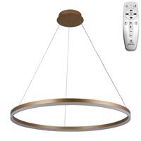 NEDES LED svítidlo + dálkový ovladač 55W - J4309/G